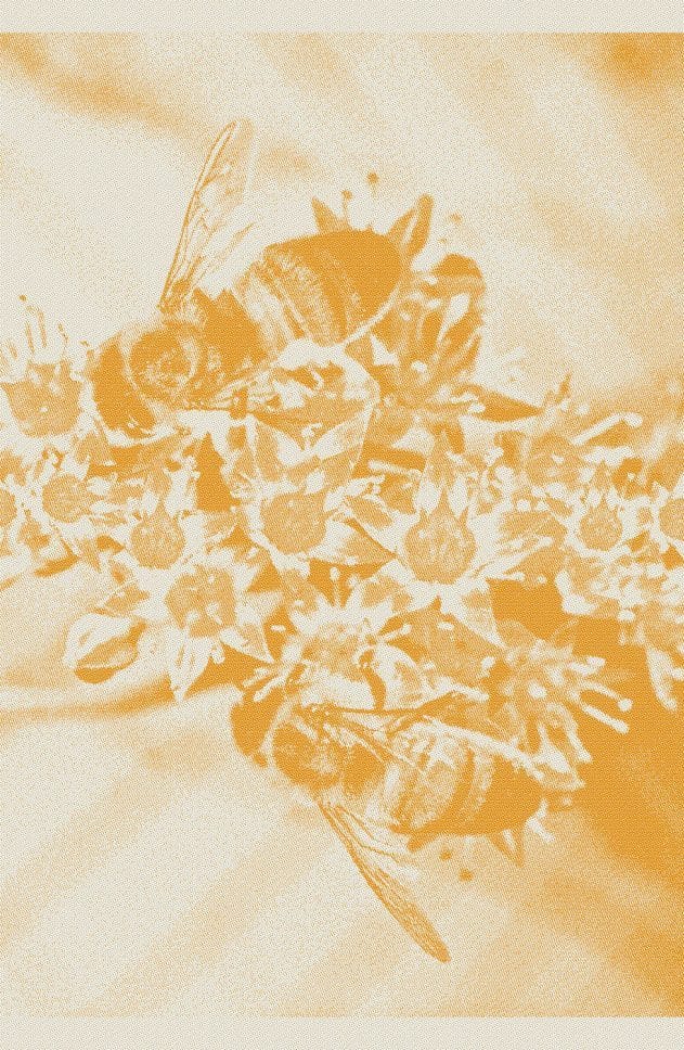 Theedoeken Custom Made